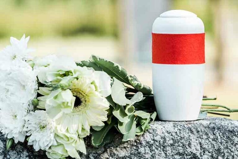 Cremação de ossos preços